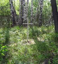 Берёзовый крест на месте погребения останков немецких лётчиков